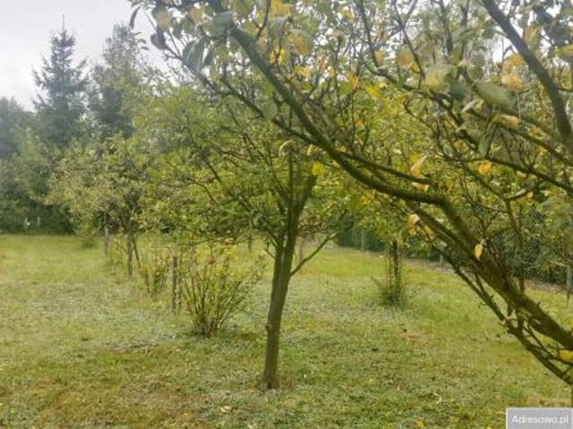 Bezpośrednio, Głogów Małopolski, 2232 m² Działka