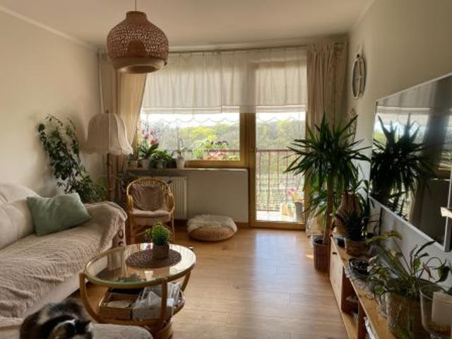 Bezpośrednio, Głogów, ul. Budowlanych, 52 m² Mieszkanie