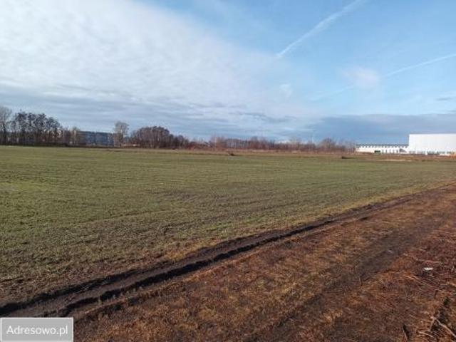 Bezpośrednio, Głogów, ul. Henryka Głogowskiego, 17700 m² Działka