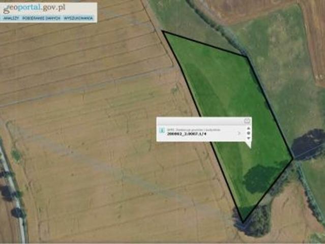 Bezpośrednio, Główczyno, Cacki, 30800 m² Działka