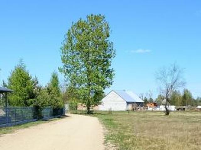 Bezpośrednio, Łęg Przedmiejski, 1300 m² Działka