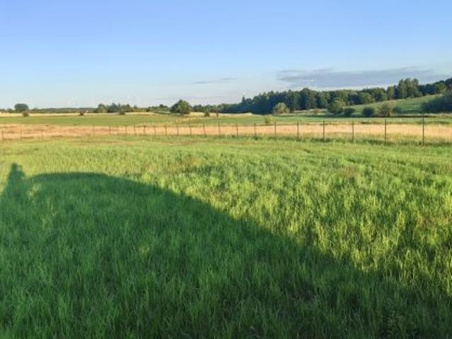 Bezpośrednio, Gniewino, ul. Mostowa, 3410 m² Działka