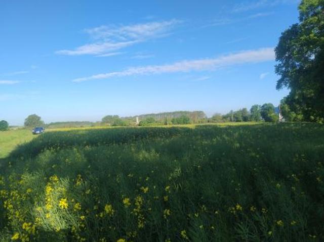 Bezpośrednio, Gniewomierz, Psary, 9900 m² Działka