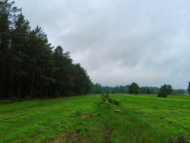 Bezpośrednio, Gołąbek, ul. Bajkowa, 1344 m² Działka