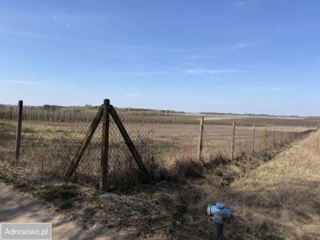 Bezpośrednio, Gołyń, 14000 m² Działka