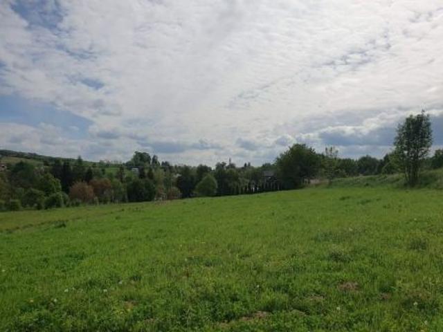 Bezpośrednio, Gogołów, 2200 m² Działka