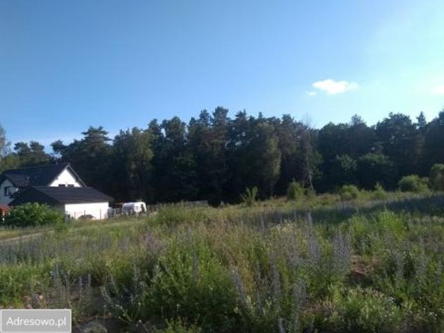 Bezpośrednio, Goleniów, Zarosty, ul. Szafirowa, 801 m² Działka