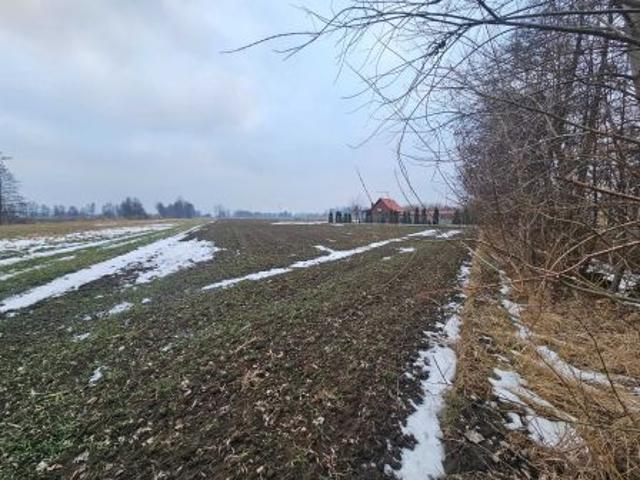 Bezpośrednio, Góra, 16000 m² Działka