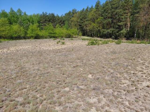 Bezpośrednio, Goreń Duży, 2196 m² Działka