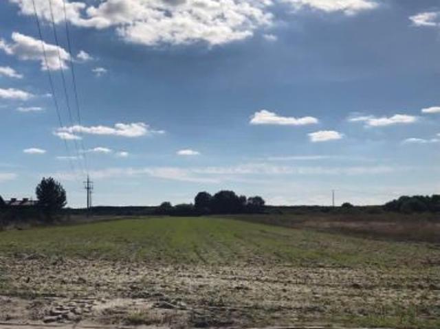Bezpośrednio, Goreń Duży, 3600 m² Działka
