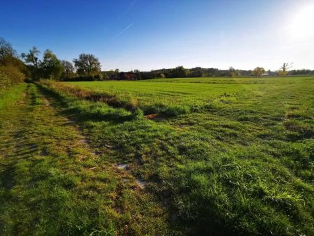 Bezpośrednio, Górka, 3043 m² Działka