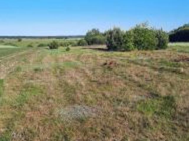 Bezpośrednio, Górka, 8200 m² Działka