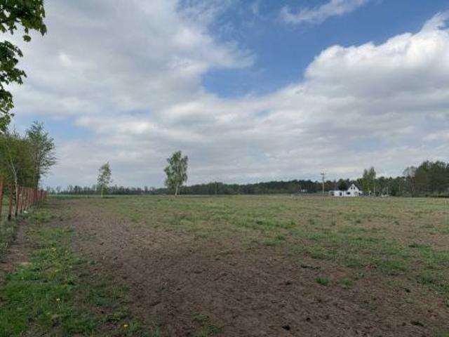 Bezpośrednio, Górsk, 3000 m² Działka