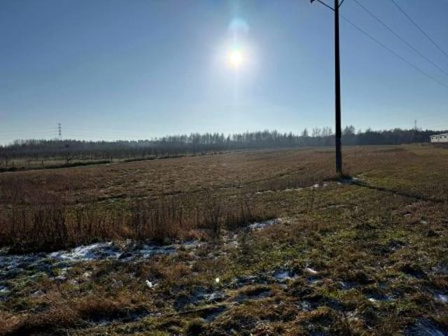 Bezpośrednio, Gorzów Wielkopolski, Chróścik, ul. Małyszyńska, 18351 m² Działka