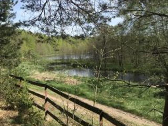 Bezpośrednio, Gostomie, Glinki, 1134 m² Działka