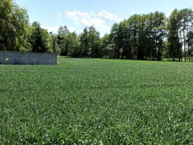 Bezpośrednio, Gostkowo, 5000 m² Działka