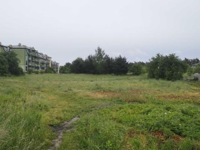 Bezpośrednio, Gostynin, 8600 m² Działka