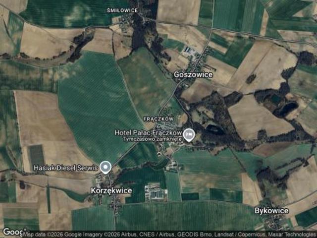 Bezpośrednio, Goszowice, Frączków, 130000 m² Działka