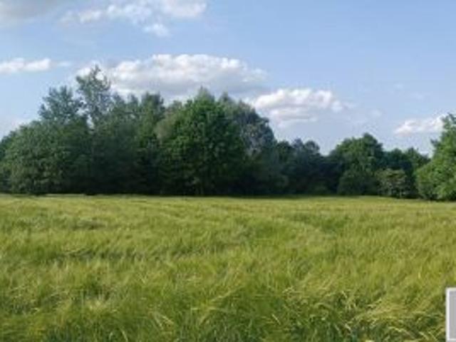 Bezpośrednio, Gace Słupieckie, 4900 m² Działka