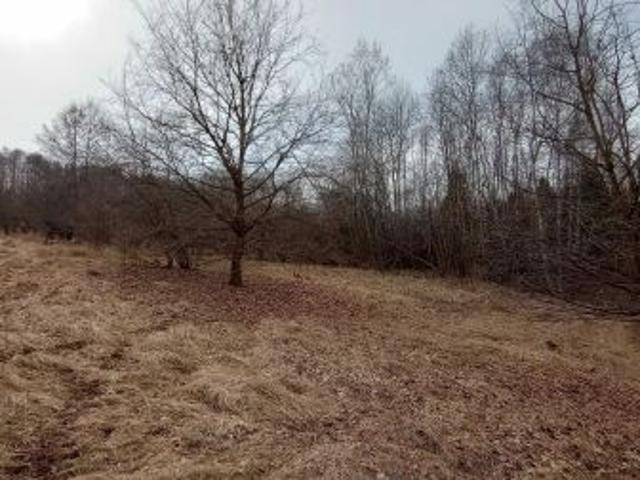 Bezpośrednio, Gaj, ul. Zadziele, 12000 m² Działka