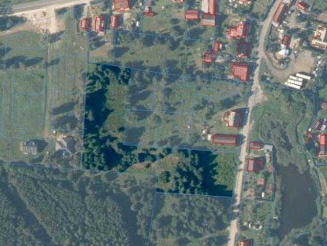 Bezpośrednio, Gajec, 8019 m² Działka
