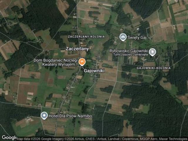 Bezpośrednio, Gajowniki, 13000 m² Działka