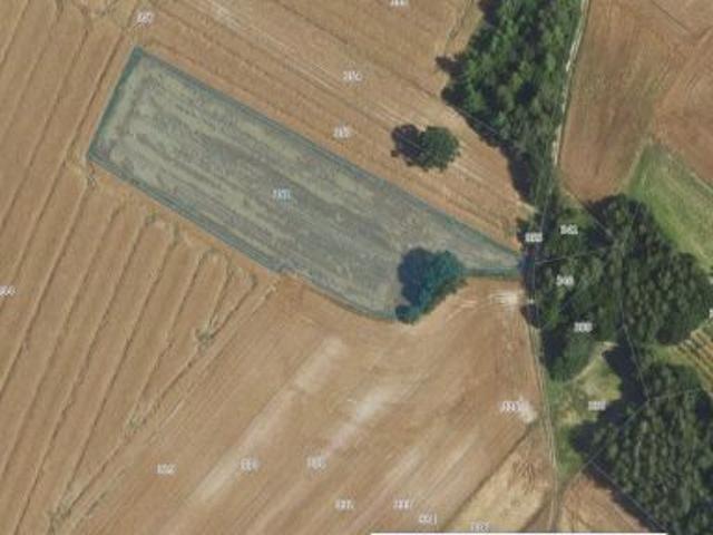 Bezpośrednio, Gany, 6000 m² Działka