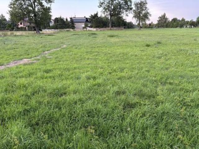 Bezpośrednio, Garwolin, ul. Narutowicza, 800 m² Działka