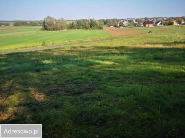 Bezpośrednio, Gaszyn, ul. Cicha, 3758 m² Działka