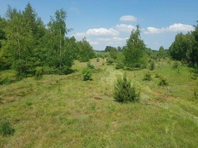 Bezpośrednio, Gilówka Górna, 1500 m² Działka