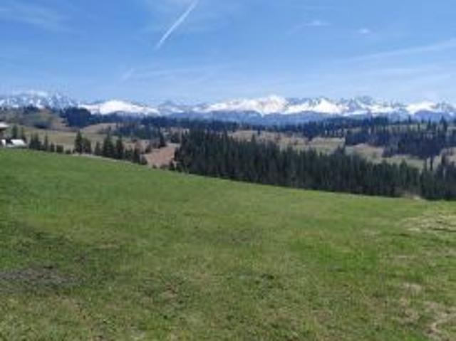 Bezpośrednio, Gliczarów Górny, 1500 m² Działka