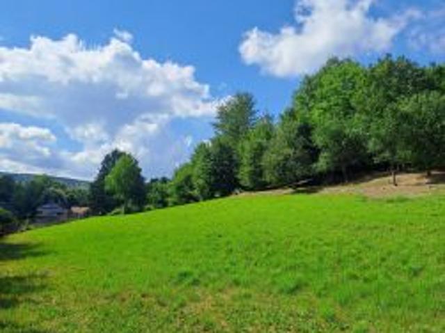 Bezpośrednio, Glinik Zaborowski, 4379 m² Działka