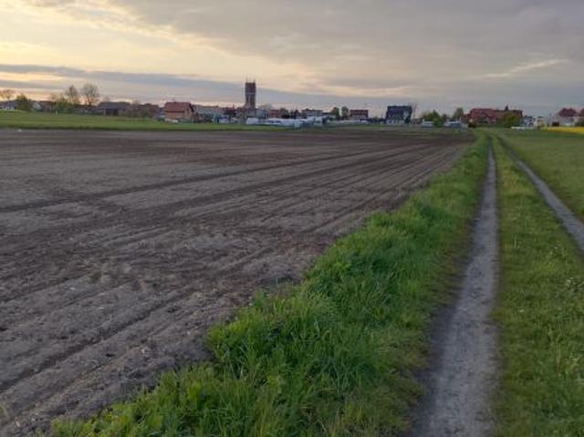 Bezpośrednio, Gliwice, Ostropa, ul. Ignacego Daszyńskiego, 3052 m² Działka