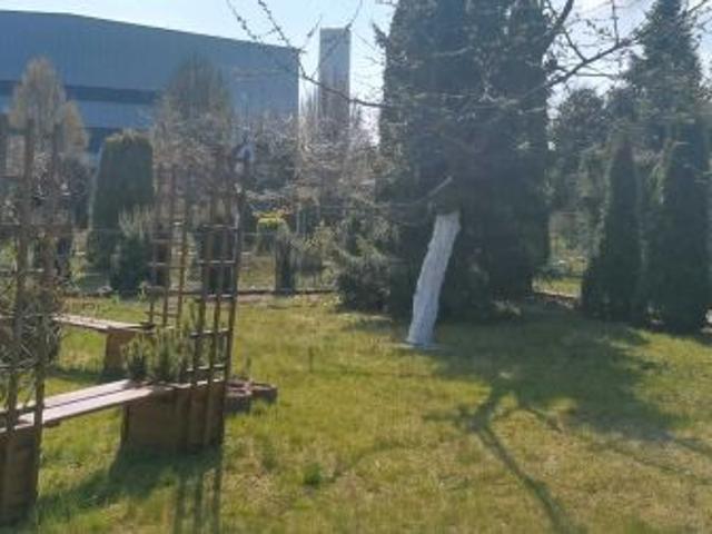 Bezpośrednio, Grudziądz, 460 m² Działka