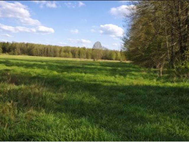 Bezpośrednio, Gruszki, 20000 m² Działka