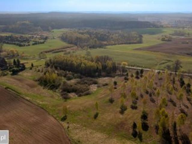 Bezpośrednio, Grzegrzółki, 3000 m² Działka