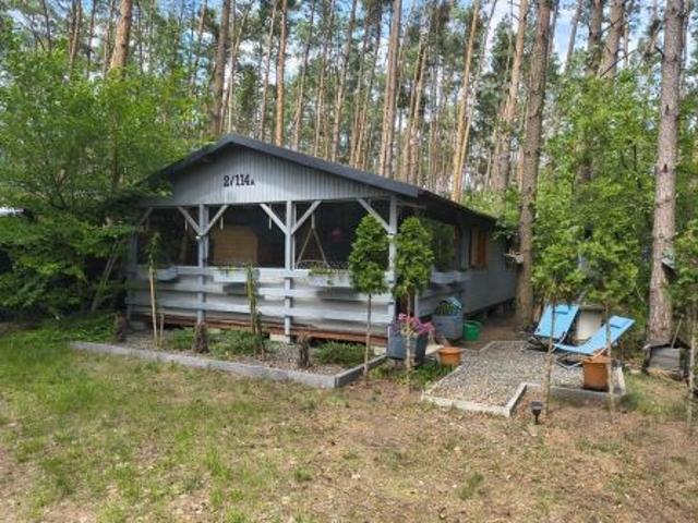 Bezpośrednio, Grzybowo, 40 m² Dom