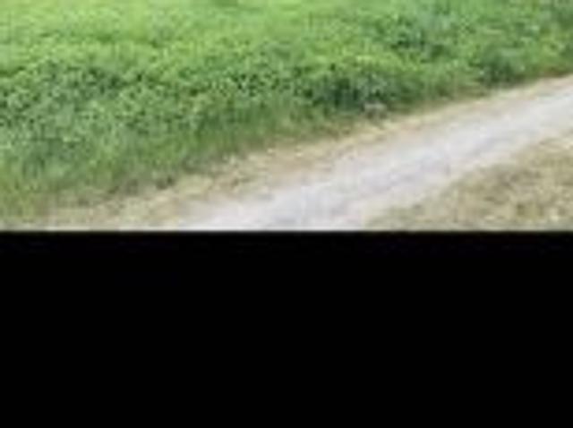Bezpośrednio, Grabniak, 400 m² Działka