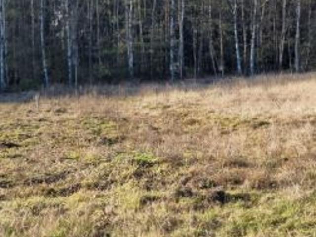 Bezpośrednio, Grabanów, 5300 m² Działka