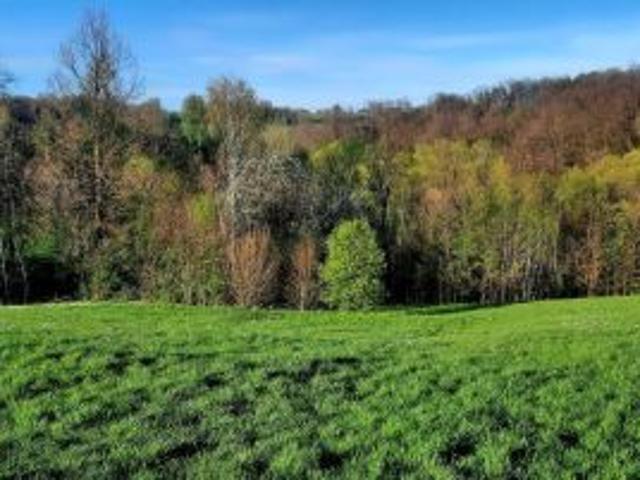Bezpośrednio, Grabie, 1500 m² Działka