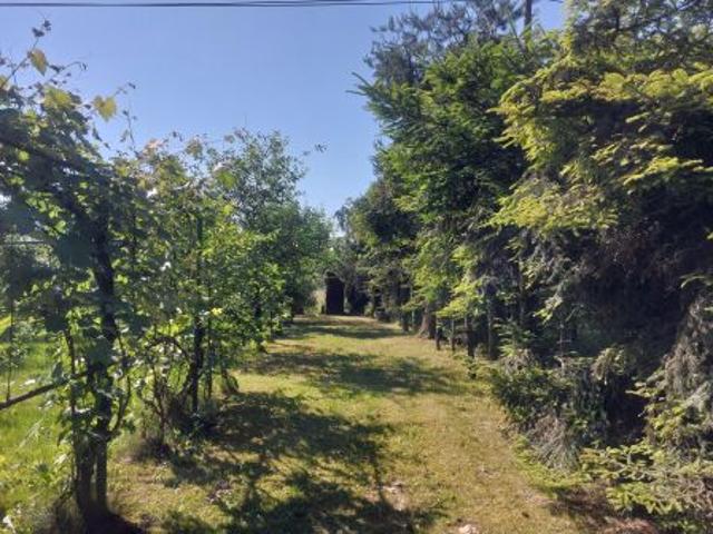 Bezpośrednio, Grabie, 1100 m² Działka