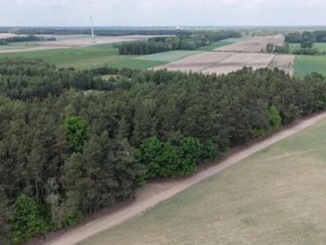 Bezpośrednio, Gromadzyn, 3001 m² Działka