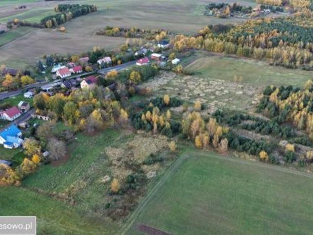 Bezpośrednio, Gronów, 17302 m² Działka
