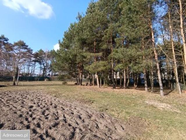 Bezpośrednio, Gronów, 1352 m² Działka