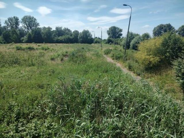 Bezpośrednio, Gronowo Górne, ul. Berylowa, 9950 m² Działka