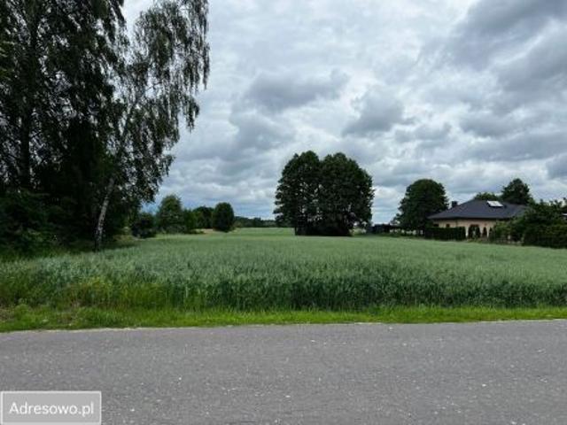 Bezpośrednio, Guzew, 3000 m² Działka