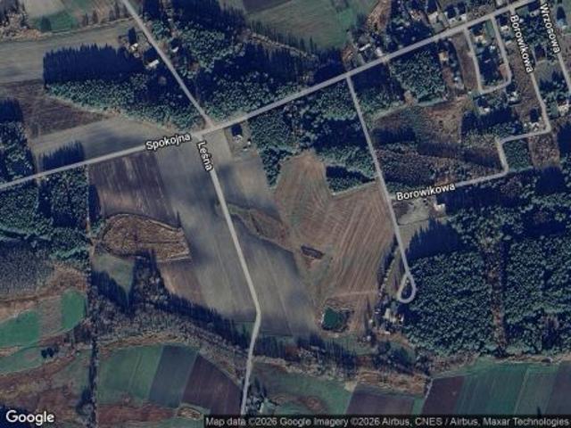 Bezpośrednio, Gulczewo, ul. Borowikowa, 1000 m² Działka