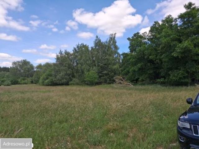 Bezpośrednio, Gzin, 53200 m² Działka
