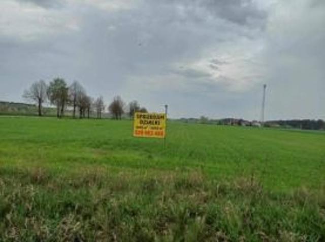 Bezpośrednio, Gzowo, 6000 m² Działka