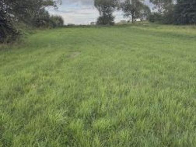 Bezpośrednio, Dłużec, 2500 m² Działka